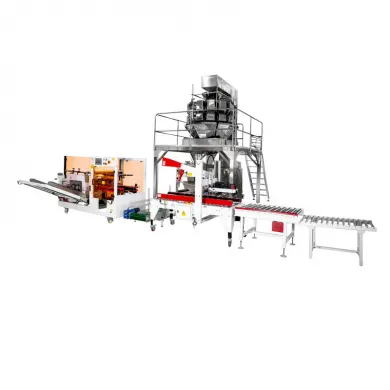 Nuts Snack Pouch Fill Vaccum Carton Box Packaging Machine