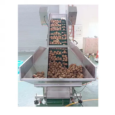 WL-P1C Twin Belt Single Head Conveyer Weigher