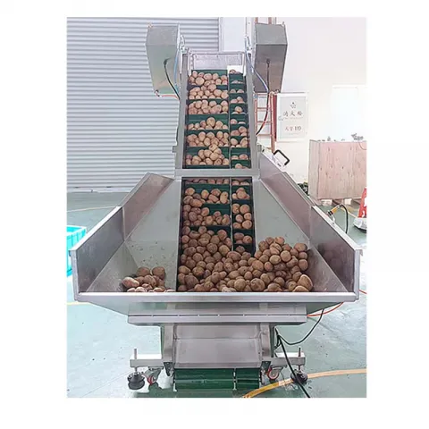 WL-P1C Twin Belt Single Head Conveyer Weigher