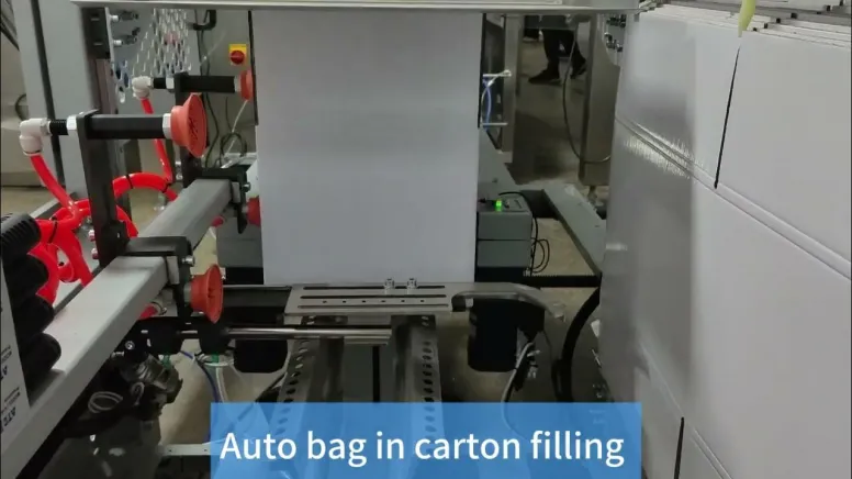 Walnut kernel almond nuts carton box packing machine auto packing line