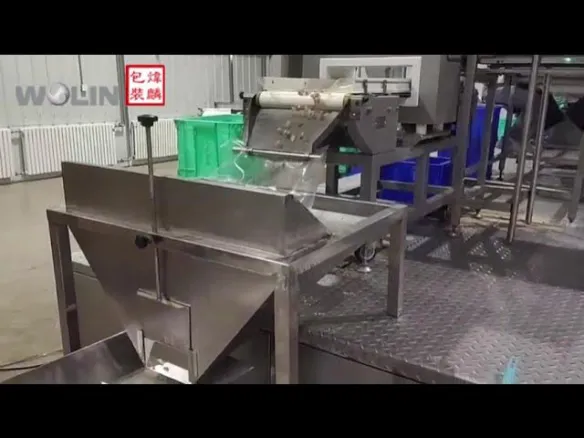 10Kg Walnut kernel bag in carton auto packing line nuts auto cartoning packing machine