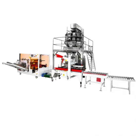 Automatic Bag in Box Bulk Vacuum Packaging Machine