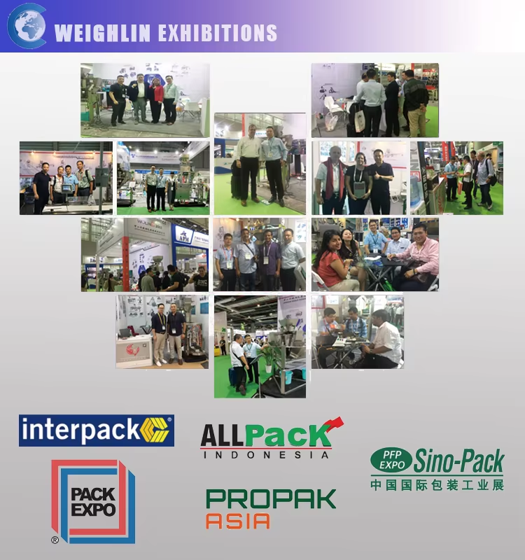 WL-P1C Twin Belt Single Head Conveyer Weigher